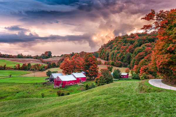 Fall Landscaping: Enhancing Outdoor Spaces with Autumn Colors