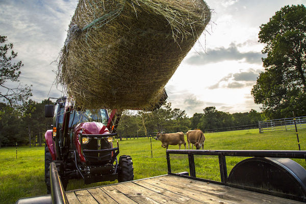 Your Guide to Hay Baling and Production