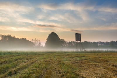 5 Tips for Establishing a Successful Wildlife Food Plot